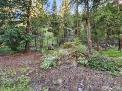 350 TBD Toats Coulee Road , Loomis, WA 98827 - Photo 31