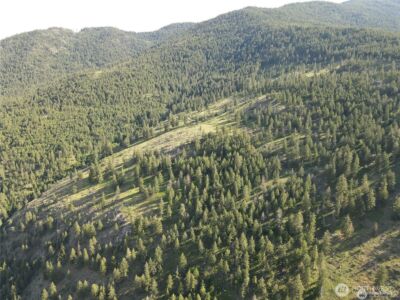 350 TBD Toats Coulee Road , Loomis, WA 98827 - Photo 33