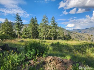 350 TBD Toats Coulee Road , Loomis, WA 98827 - Photo 4