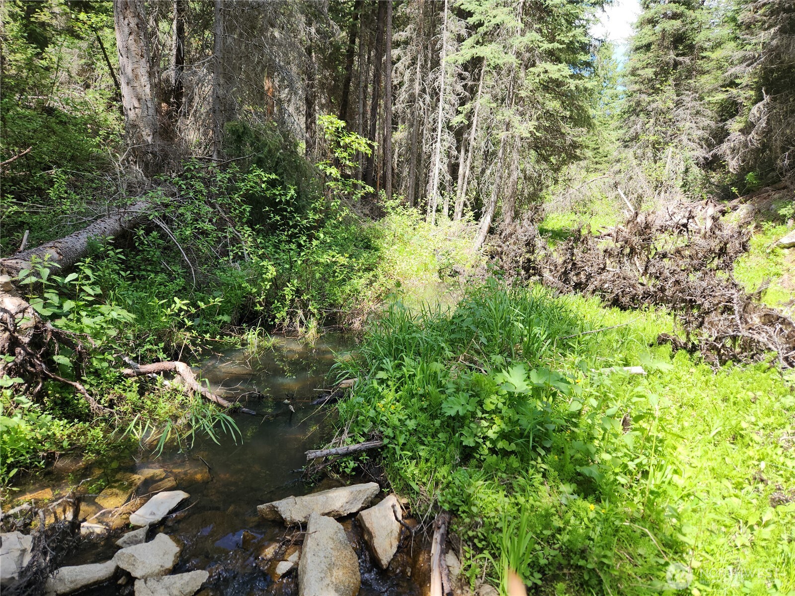 363 Sheridan Road , Republic, WA 99166