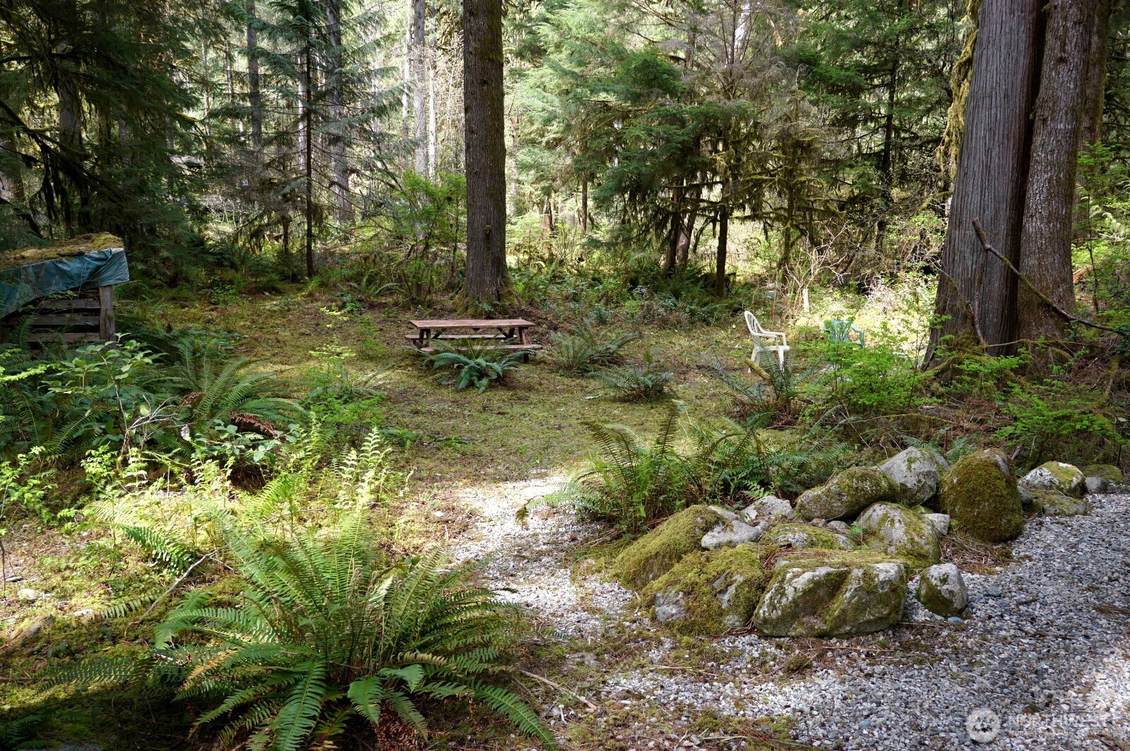8480 South Cascade Drive , Marblemount, WA 98267