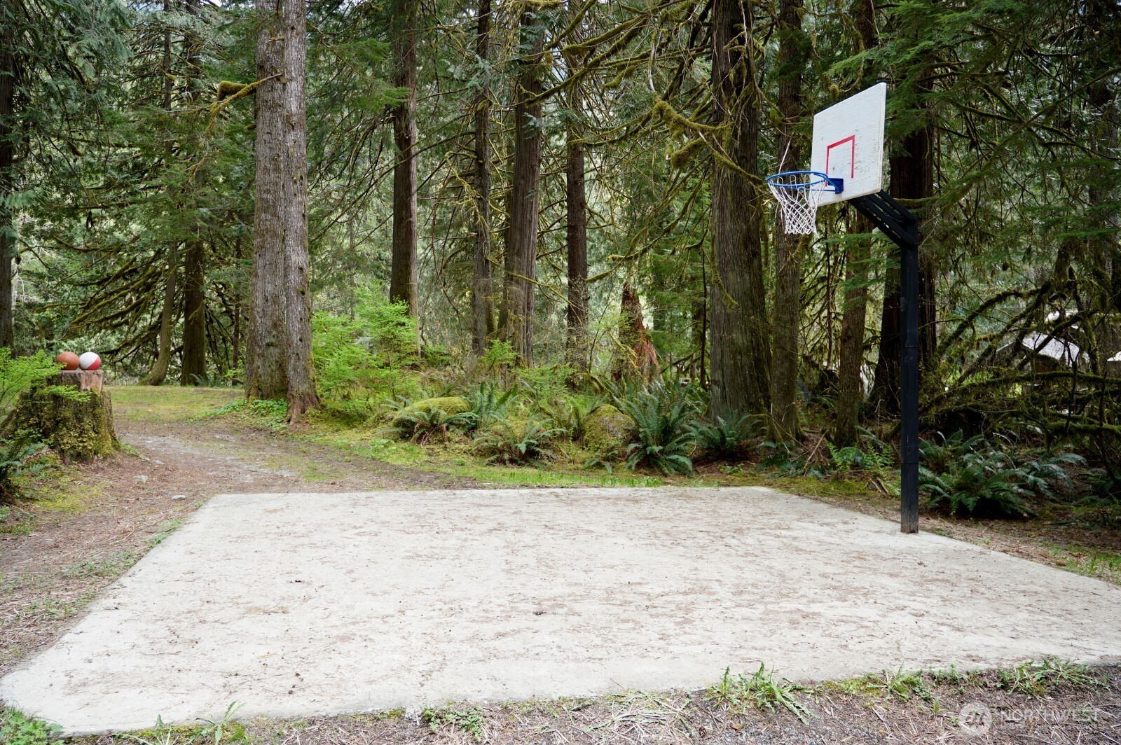 8480 South Cascade Drive , Marblemount, WA 98267