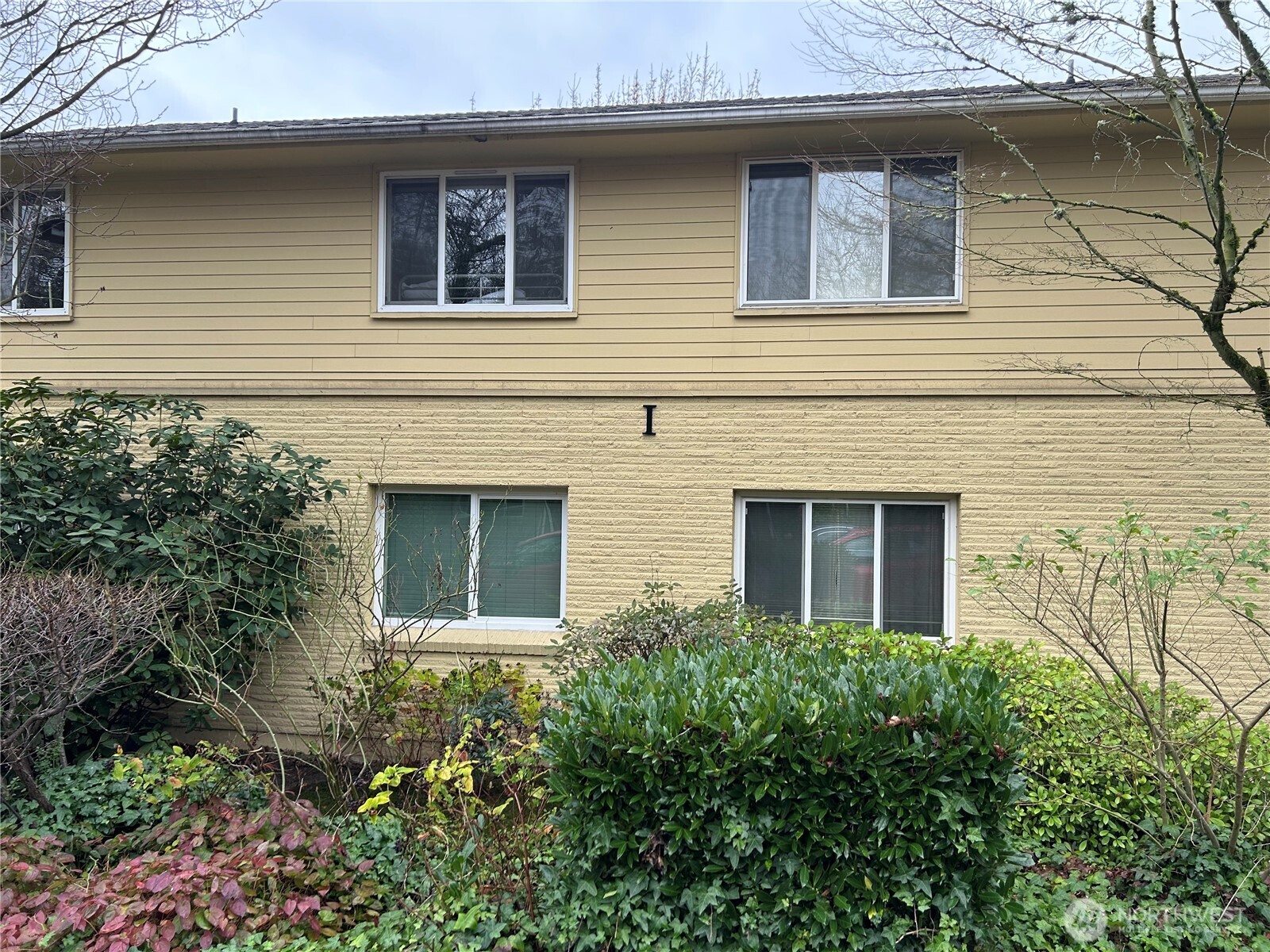 4717 Terrace Drive NE #4717, Seattle, WA 98105