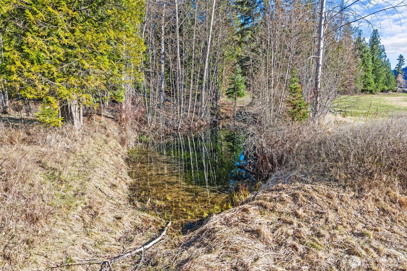 3617 Deep Lake Boundary Road , Colville, WA 99114