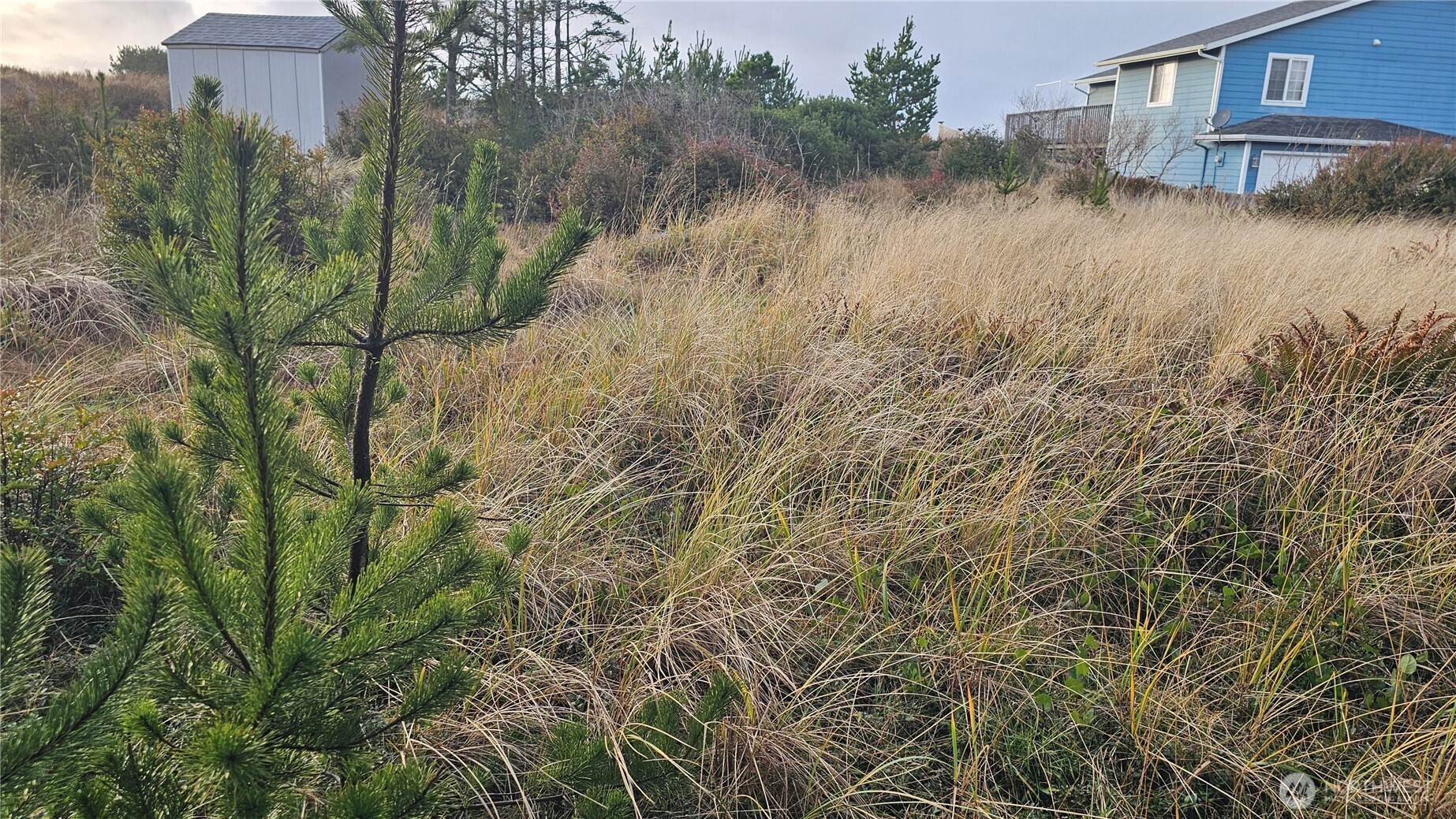 505 347th Place , Ocean Park, WA 98640