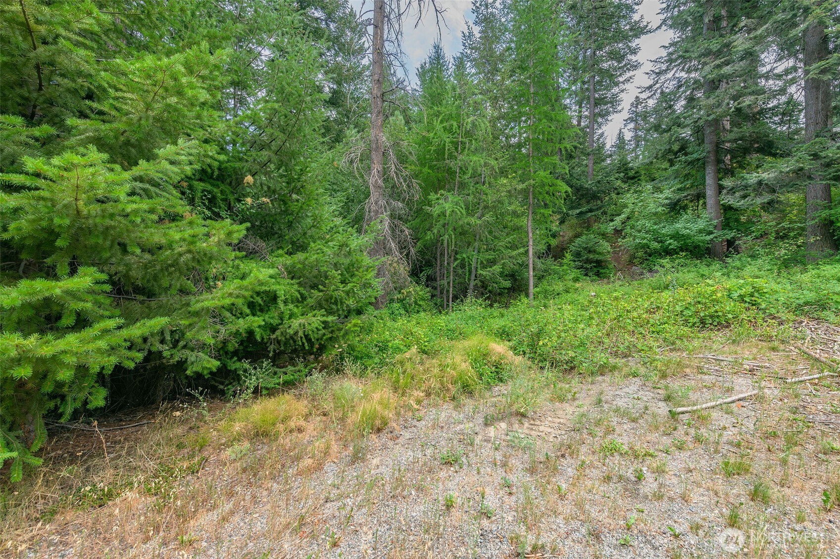 6409 Forest Ridge Drive , Wenatchee, WA 98801