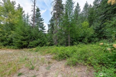 6409 Forest Ridge Drive , Wenatchee, WA 98801 - Photo 6
