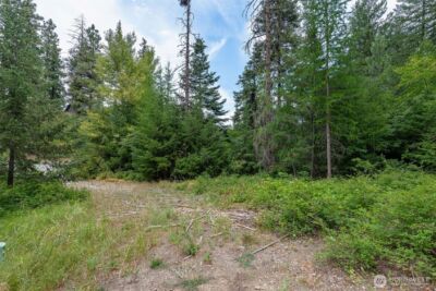 6409 Forest Ridge Drive , Wenatchee, WA 98801 - Photo 7