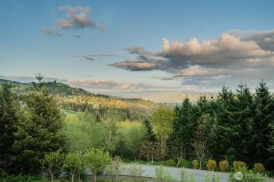 200 Pineridge Drive , Woodland, WA 98674 - Photo 36