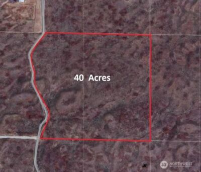 0 Lot 81, Eagle Springs Ranch , Wilson Creek, WA 98860 - Photo 5