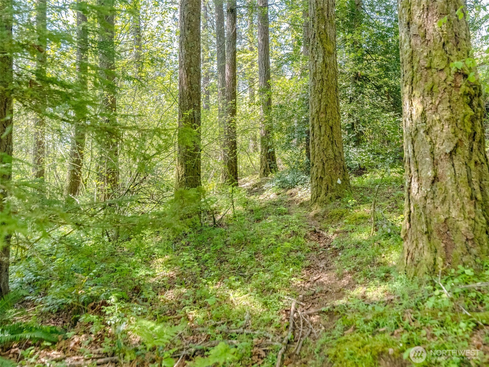 0 XXX SE 362nd Avenue , Washougal, WA 98671