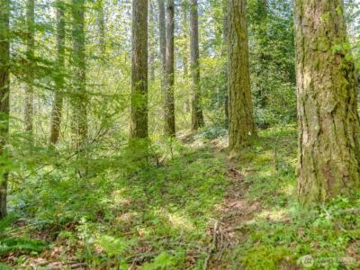 0 XXX SE 362nd Avenue , Washougal, WA 98671