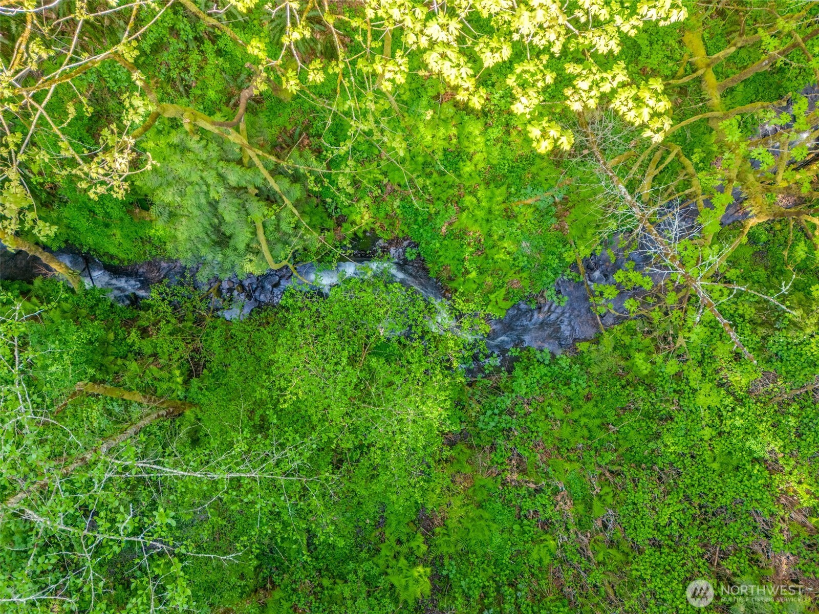 0 XXX SE 362nd Avenue , Washougal, WA 98671