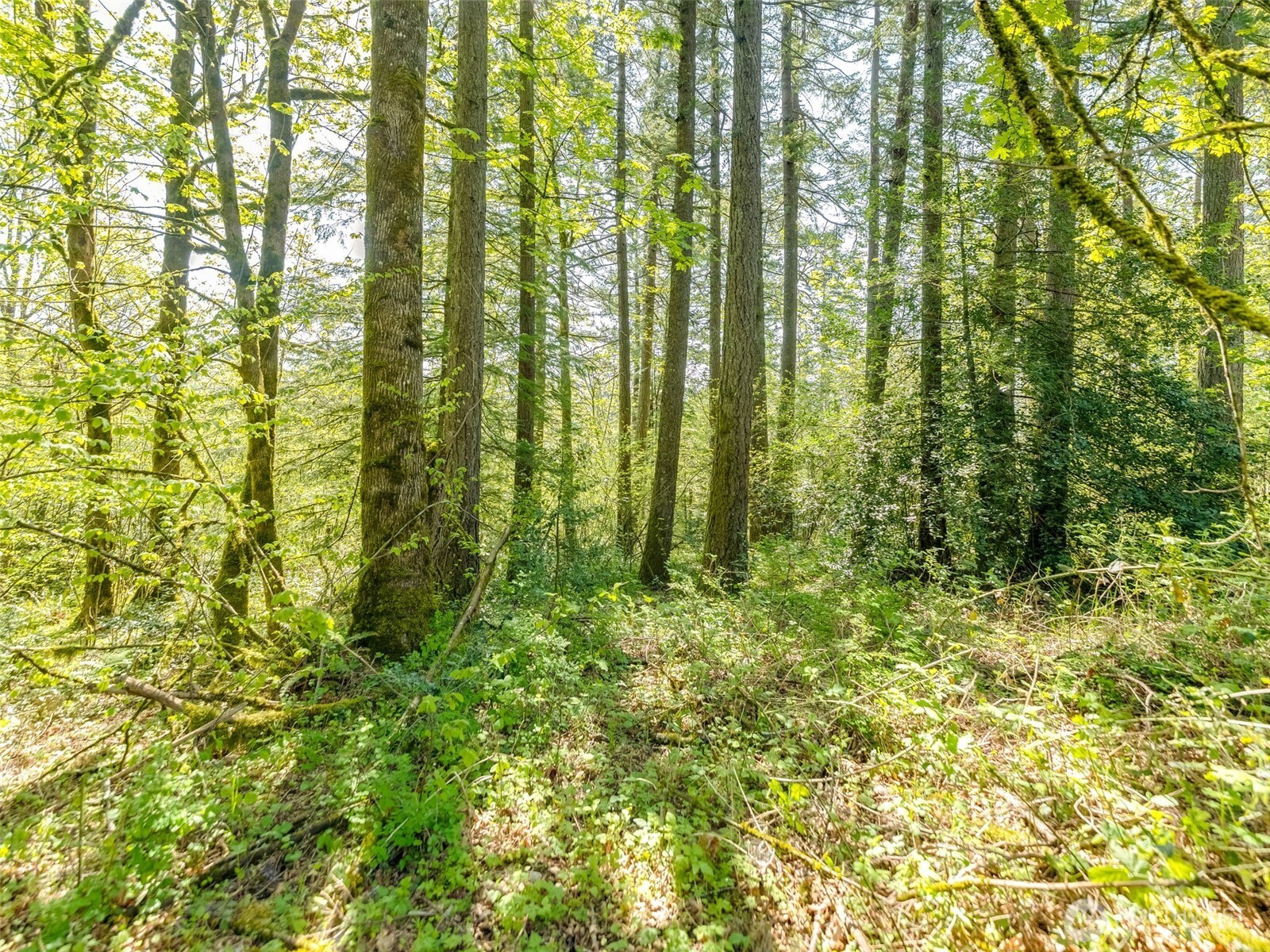 0 XXX SE 362nd Avenue , Washougal, WA 98671