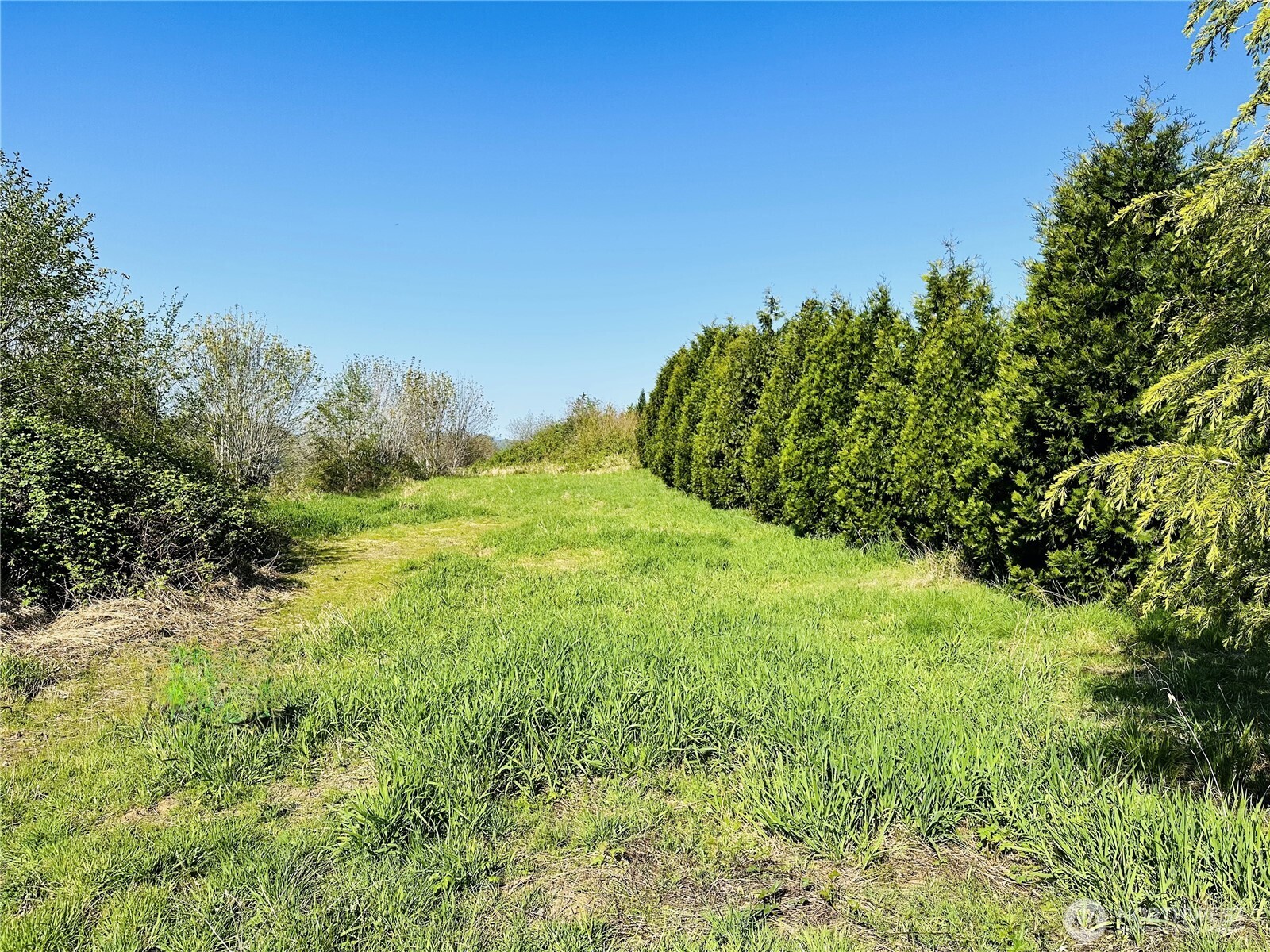 295 DeGoede Drive , Mossyrock, WA 98564
