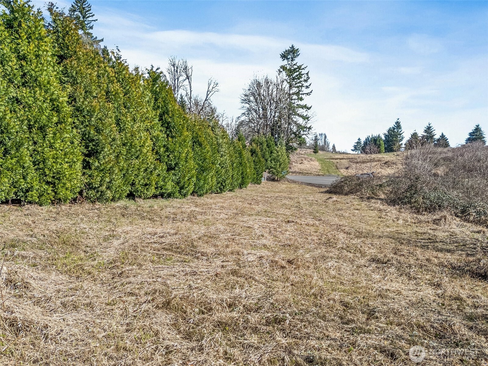 295 DeGoede Drive , Mossyrock, WA 98564