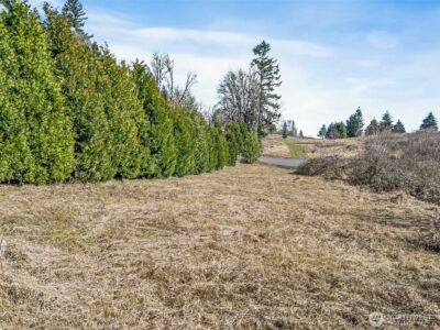 295 DeGoede Drive , Mossyrock, WA 98564 - Photo 11