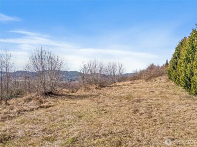 295 DeGoede Drive , Mossyrock, WA 98564 - Photo 12