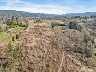 295 DeGoede Drive , Mossyrock, WA 98564 - Photo 16