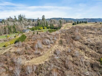 295 DeGoede Drive , Mossyrock, WA 98564 - Photo 17