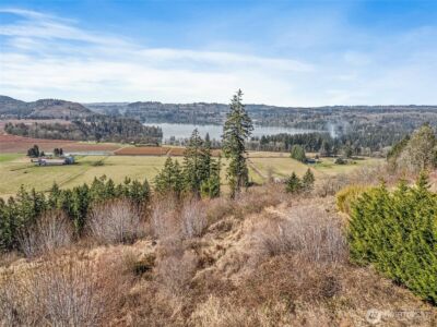295 DeGoede Drive , Mossyrock, WA 98564 - Photo 18