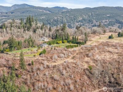 295 DeGoede Drive , Mossyrock, WA 98564 - Photo 19