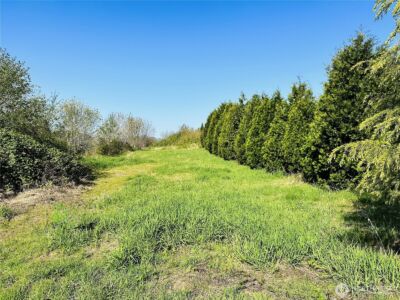 295 DeGoede Drive , Mossyrock, WA 98564 - Photo 2
