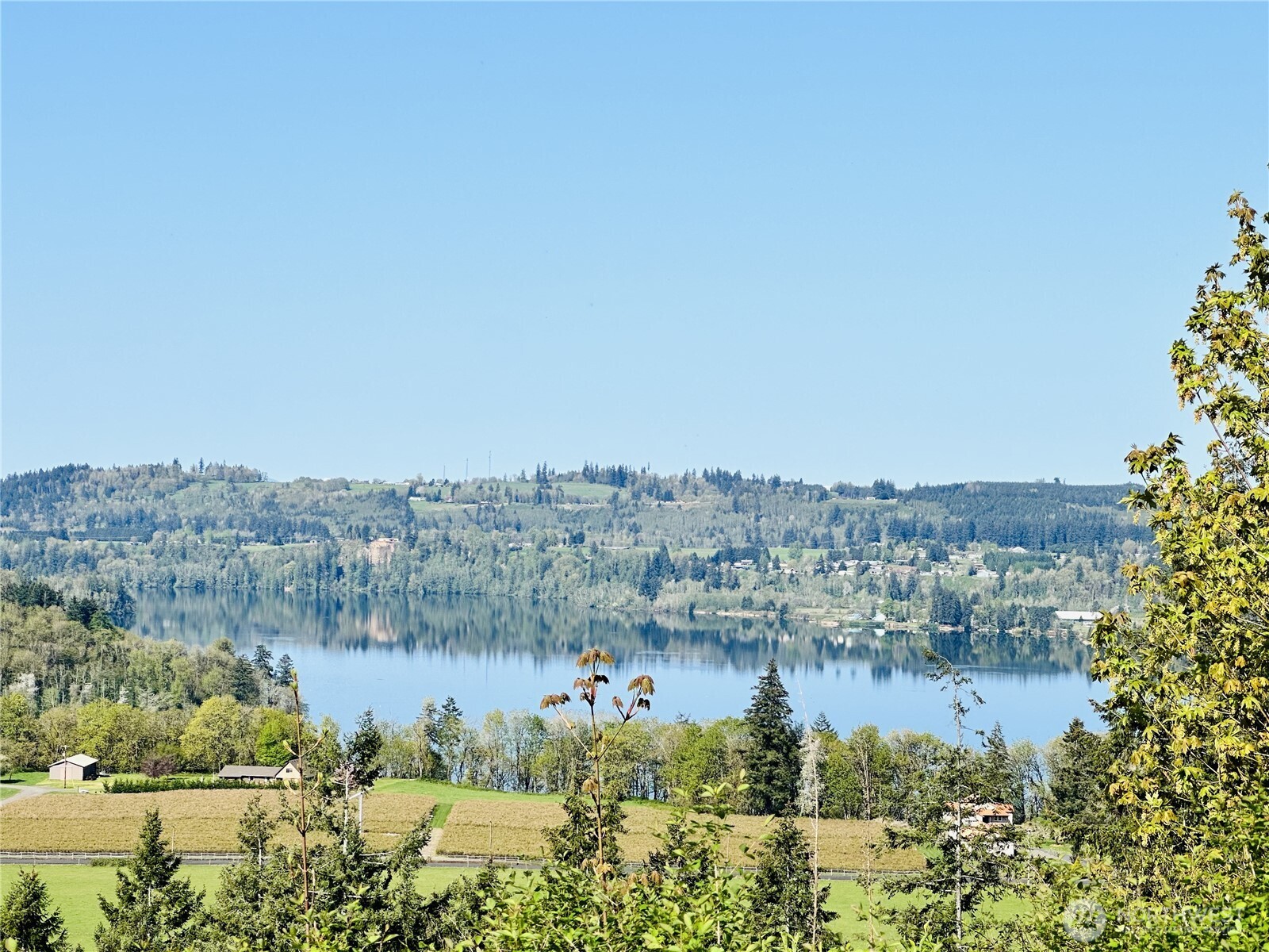 295 DeGoede Drive , Mossyrock, WA 98564