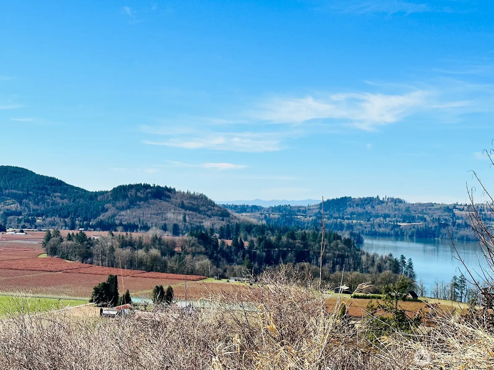 295 DeGoede Drive , Mossyrock, WA 98564