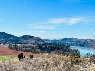 295 DeGoede Drive , Mossyrock, WA 98564 - Photo 23