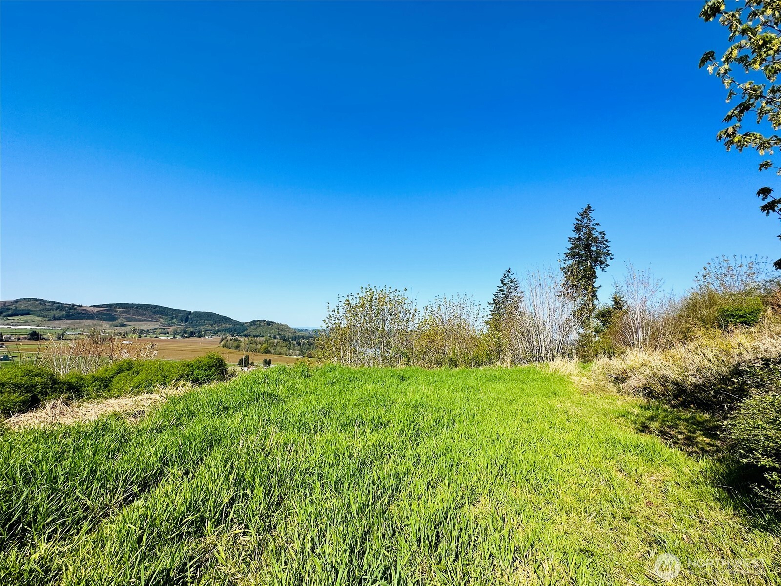 295 DeGoede Drive , Mossyrock, WA 98564