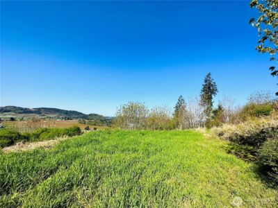 295 DeGoede Drive , Mossyrock, WA 98564 - Photo 24