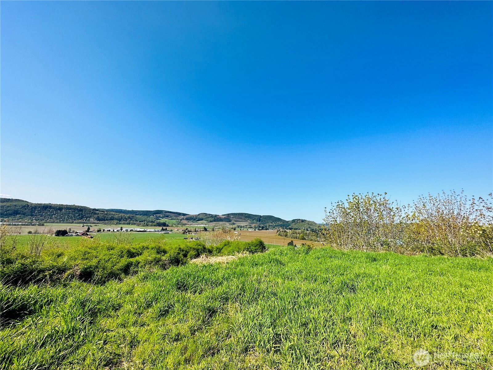 295 DeGoede Drive , Mossyrock, WA 98564