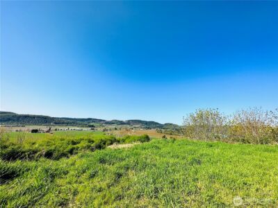 295 DeGoede Drive , Mossyrock, WA 98564 - Photo 25