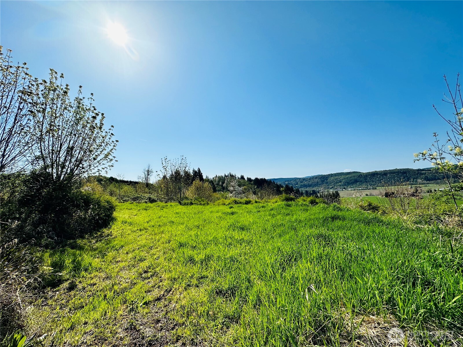 295 DeGoede Drive , Mossyrock, WA 98564
