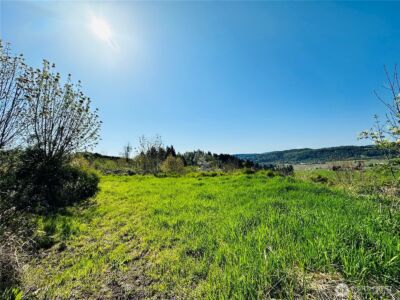 295 DeGoede Drive , Mossyrock, WA 98564 - Photo 26