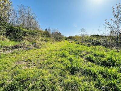 295 DeGoede Drive , Mossyrock, WA 98564 - Photo 27