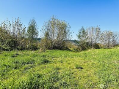 295 DeGoede Drive , Mossyrock, WA 98564 - Photo 28