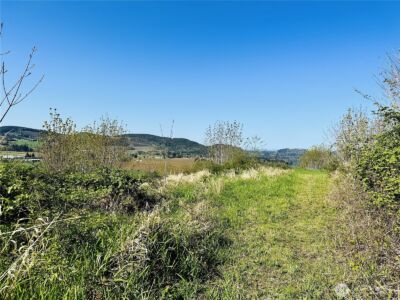 295 DeGoede Drive , Mossyrock, WA 98564 - Photo 29