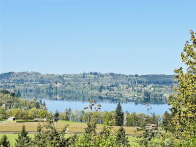 295 DeGoede Drive , Mossyrock, WA 98564 - Photo 3