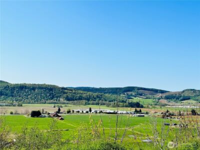 295 DeGoede Drive , Mossyrock, WA 98564 - Photo 4