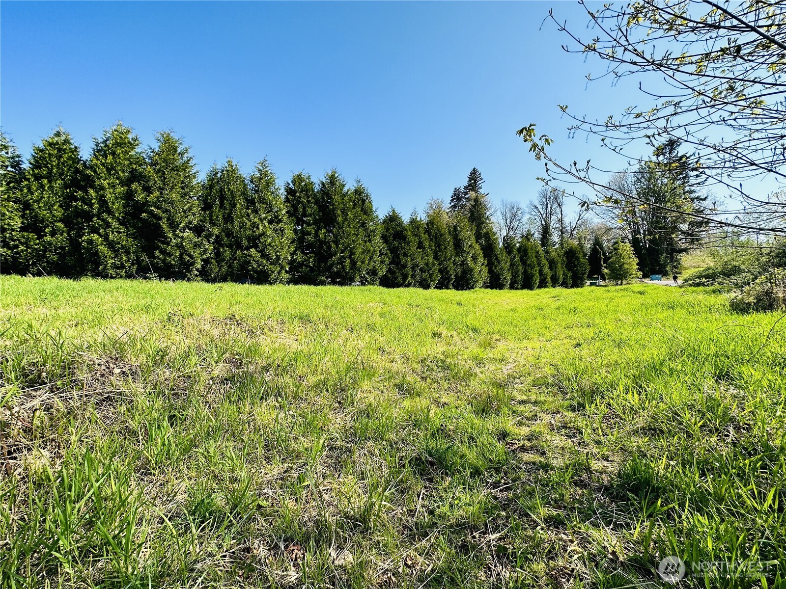 295 DeGoede Drive , Mossyrock, WA 98564