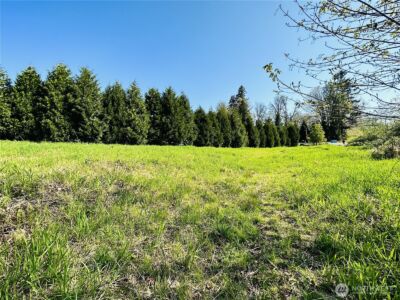 295 DeGoede Drive , Mossyrock, WA 98564 - Photo 5