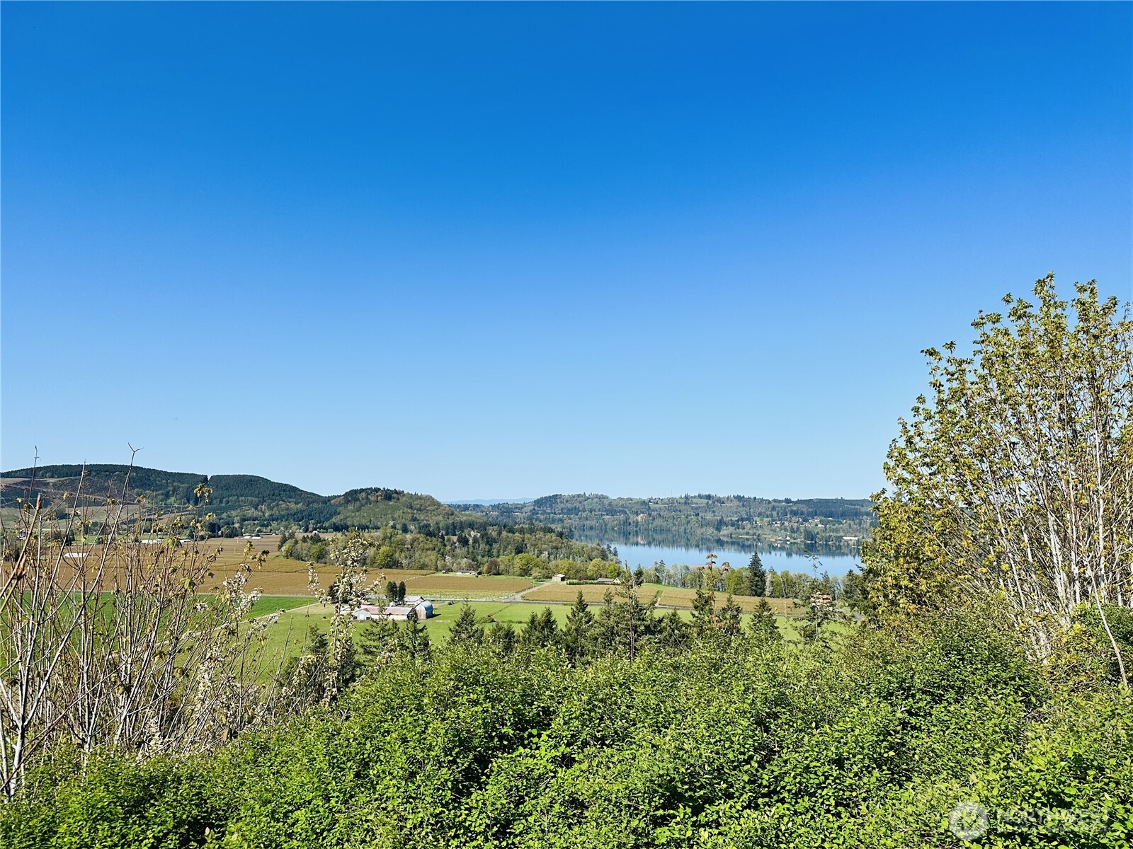 295 DeGoede Drive , Mossyrock, WA 98564