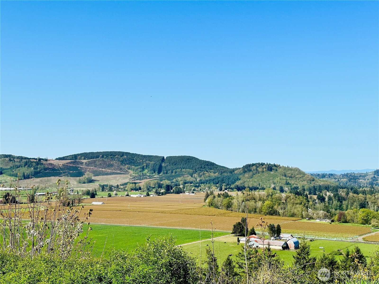 295 DeGoede Drive , Mossyrock, WA 98564
