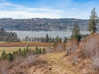 295 DeGoede Drive , Mossyrock, WA 98564 - Photo 8