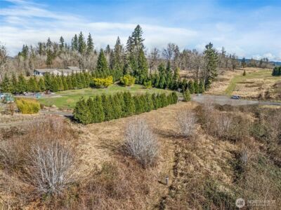 295 DeGoede Drive , Mossyrock, WA 98564 - Photo 10