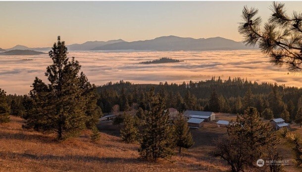717 Conrad Hill Way , Colville, WA 99114