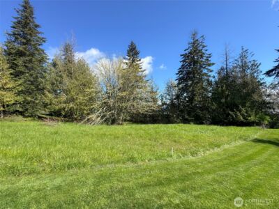 9999 Elks Pass Road , Sequim, WA 98382 - Photo 11