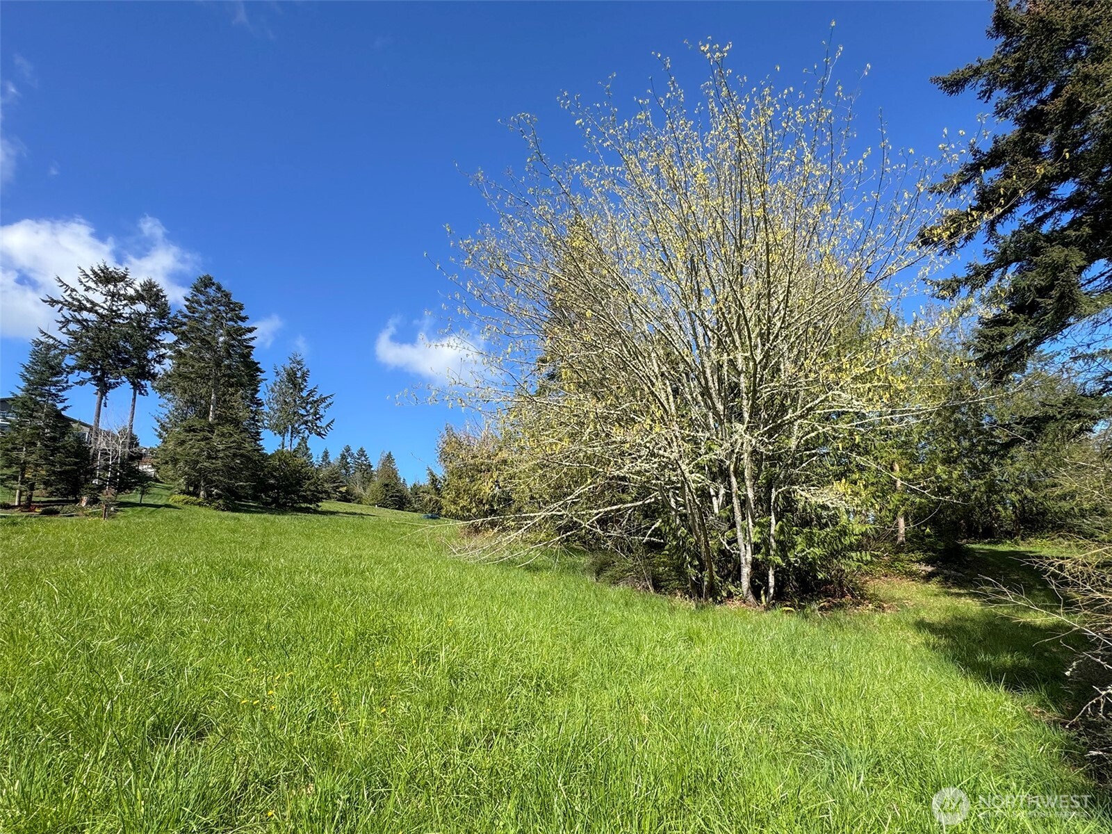 9999 Elks Pass Road , Sequim, WA 98382
